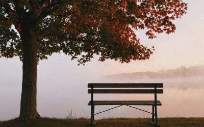 Building Self-care into our Routines